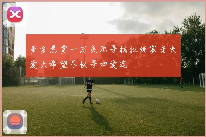 重金悬赏一万美元寻找拉姆塞走失爱犬希望尽快寻回爱宠
