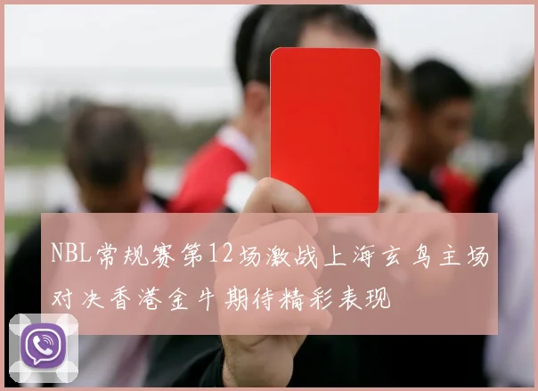 NBL常规赛第12场激战上海玄鸟主场对决香港金牛期待精彩表现