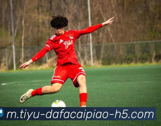 大发彩票服务体系